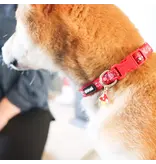 Coastal Pet Coastal Lil Pals Charming Ribbon Collar