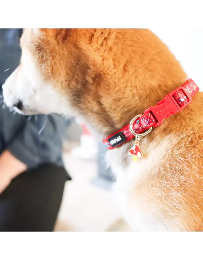 Coastal Pet Coastal Lil Pals Charming Ribbon Collar