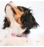 Coastal Pet Coastal Lil Pals Charming Ribbon Collar