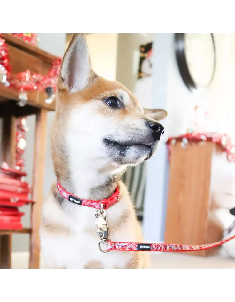 Coastal Pet Lil Pals Charming Ribbon Overlay Leash 6 ft