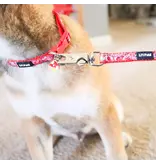 Coastal Pet Lil Pals Charming Ribbon Overlay Leash 6 ft