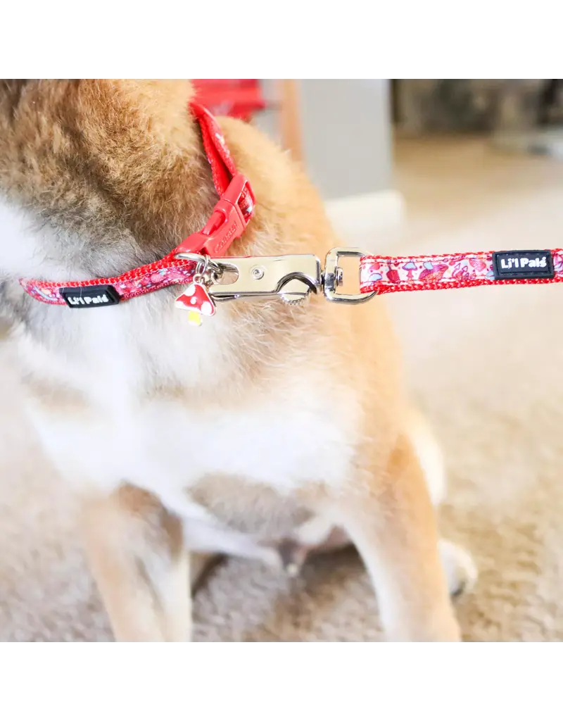 Coastal Pet Coastal Lil Pals Charming Ribbon Leash 6 ft