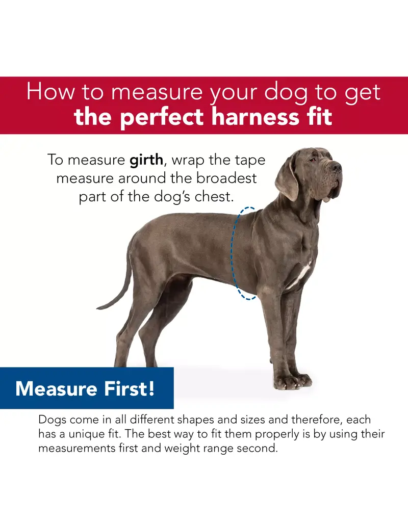 Coastal Pet Coastal Comfort Soft Reflective Wrap Dog Harness