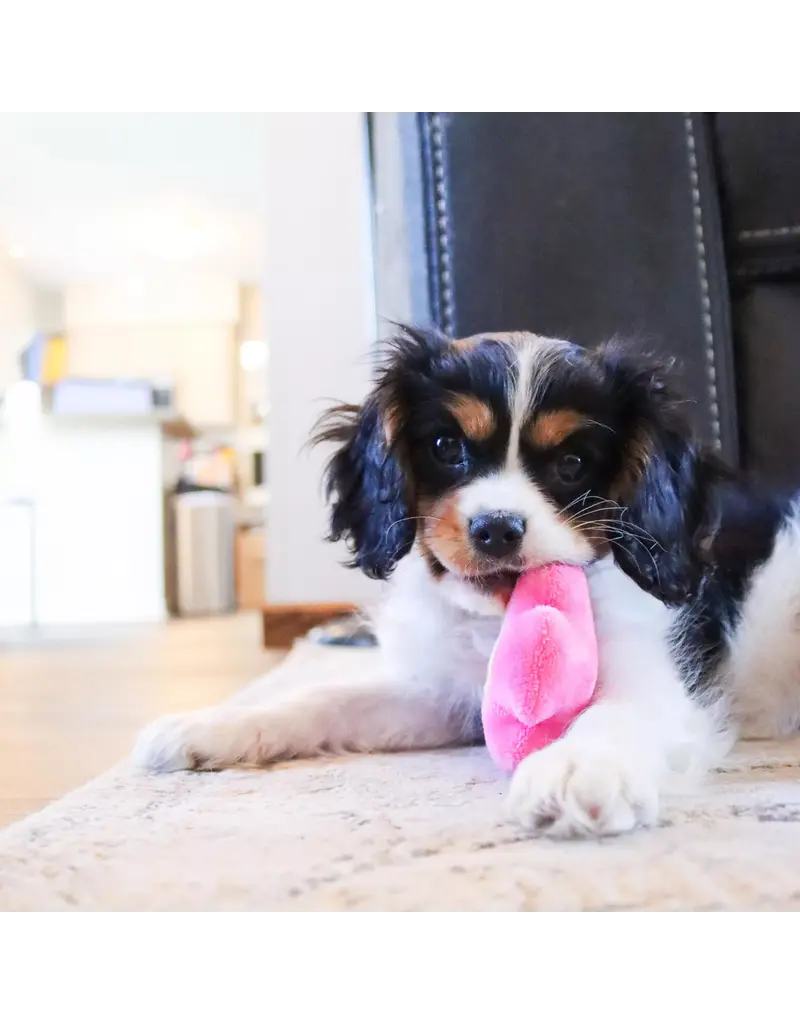 Coastal Pet Coastal Lil Pals Dog Toy Combo 3 Pk