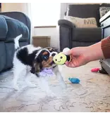 Coastal Pet Coastal Lil Pals Dog Toy Combo 3 Pk