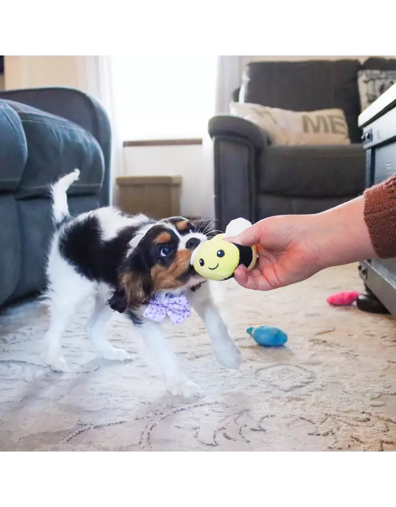 Coastal Pet Coastal Lil Pals Dog Toy Combo 3 Pk