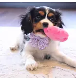 Coastal Pet Coastal Lil Pals Dog Toy Combo 3 Pk