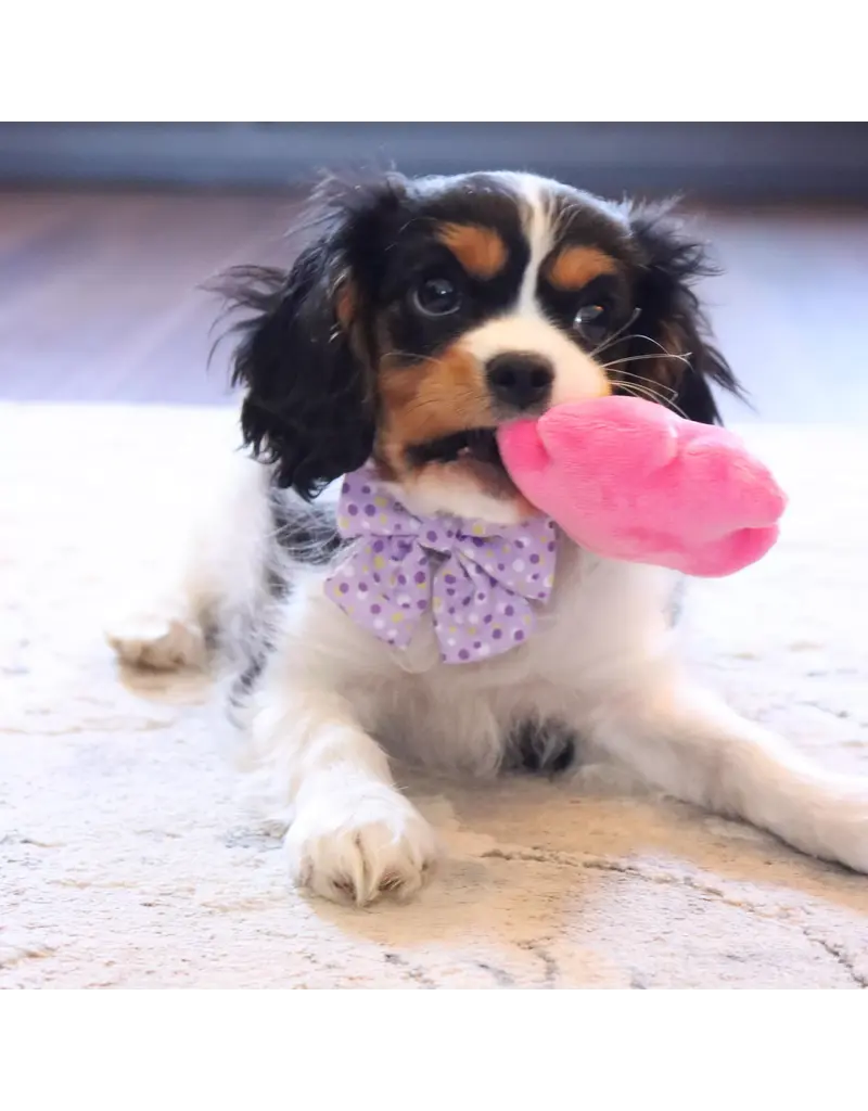 Coastal Pet Coastal Lil Pals Dog Toy Combo 3 Pk