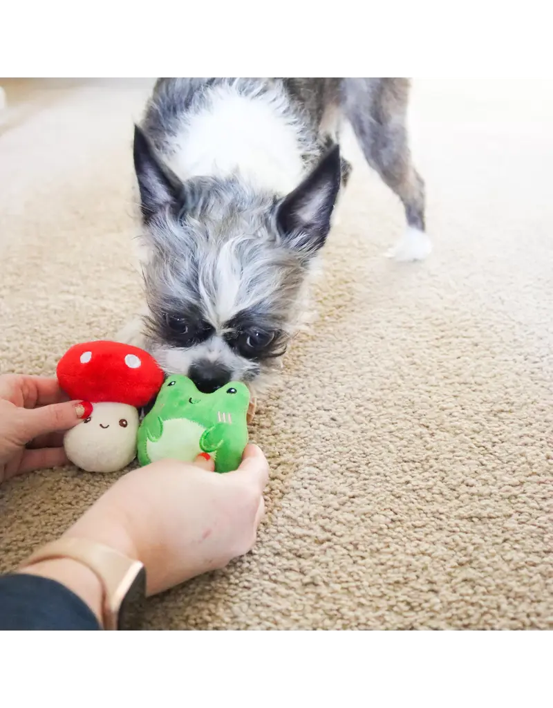 Coastal Pet Coastal Lil Pals Dog Toy Combo 3 Pk