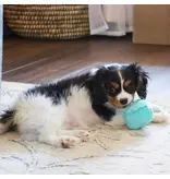 Coastal Pet Lil Pals Birthday Combo Bandana, Bow, Toy Teal