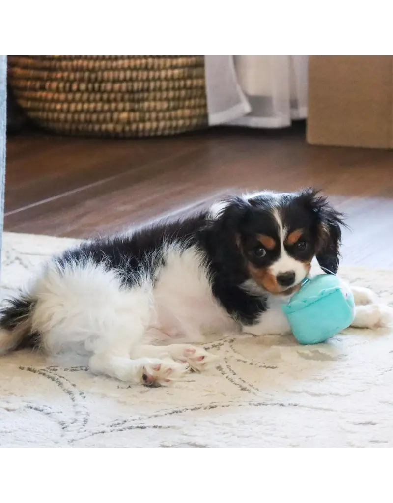 Coastal Pet Lil Pals Birthday Combo Bandana, Bow, Toy Teal