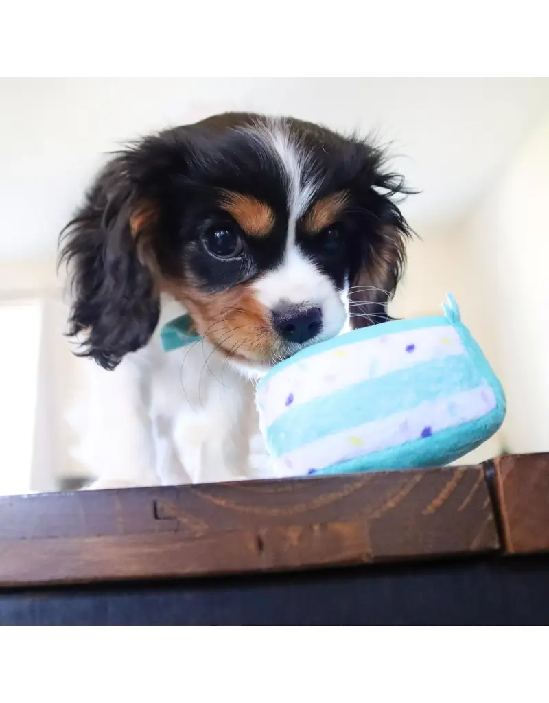 Coastal Pet Lil Pals Birthday Combo Bandana, Bow, Toy Teal