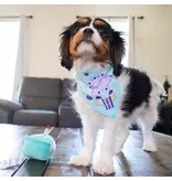 Coastal Pet Lil Pals Birthday Combo Bandana, Bow, Toy Teal