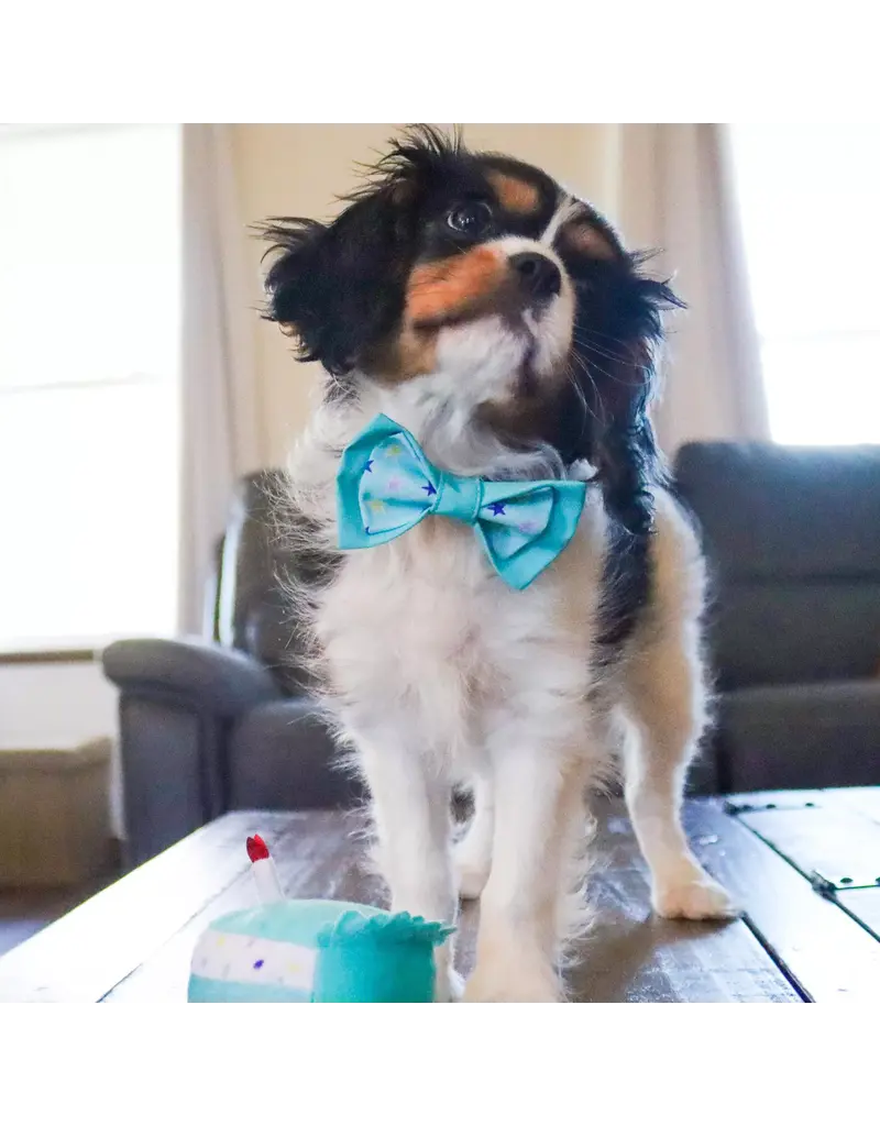 Coastal Pet Lil Pals Birthday Combo Bandana, Bow, Toy Teal
