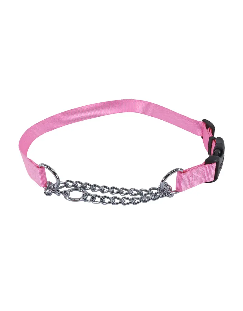 Coastal Pet Coastal Pet Training Collar W Buckle