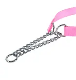 Coastal Pet Coastal Pet Training Collar W Buckle