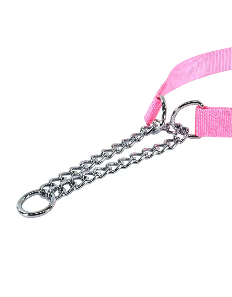 Coastal Pet Coastal Pet Training Collar W Buckle