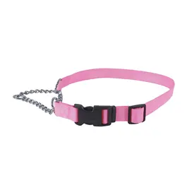 Coastal Pet Coastal Pet Training Collar W Buckle