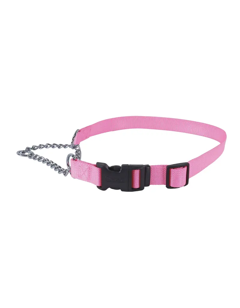 Coastal Pet Coastal Pet Training Collar W Buckle