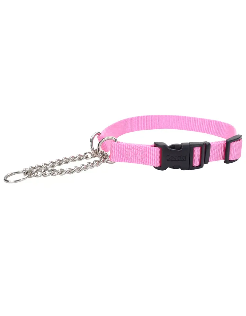 Coastal Pet Coastal Pet Training Collar W Buckle