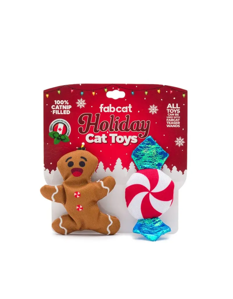 Fab Dog Fab Dog Holiday Gingerbread and Peppermint Cat Toy 2 Pk