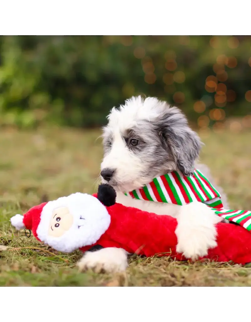 Zippy Paws Zippy Paws Holiday Jigglerz Santa Dog Toy