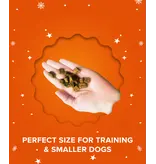 Plato Plato Holiday Roast Beef & Pumpkin Small Bites Dog Treat 3 Oz