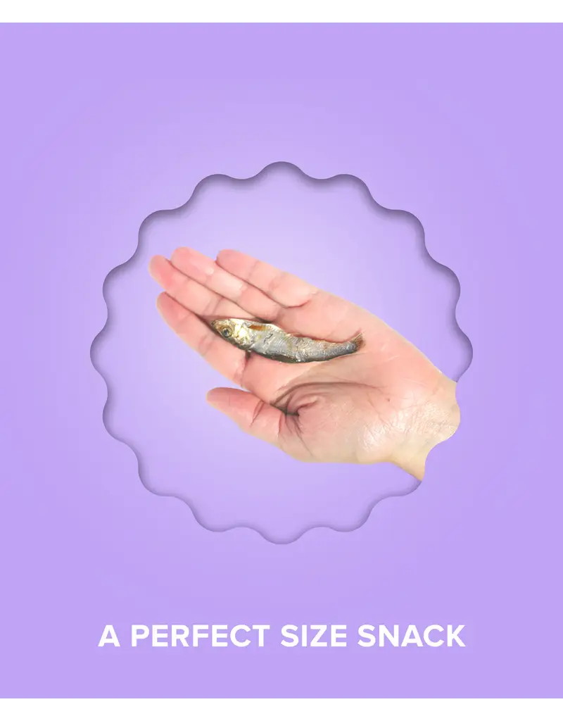 Plato Plato Grain Free Cat Treats Baltic Sprat 2.50 Oz