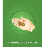 Plato Plato Grain Free Cat Treats Chicken/Catnip 2.50 Oz