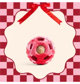 Woof Woof Pupsicle Ltd Edition Holiday Dog Large