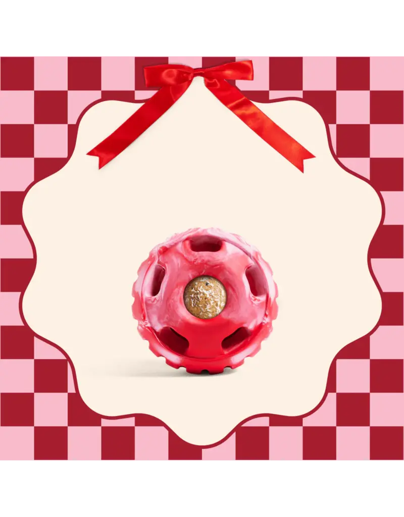 Woof Woof Pupsicle Ltd Edition Holiday Dog Large