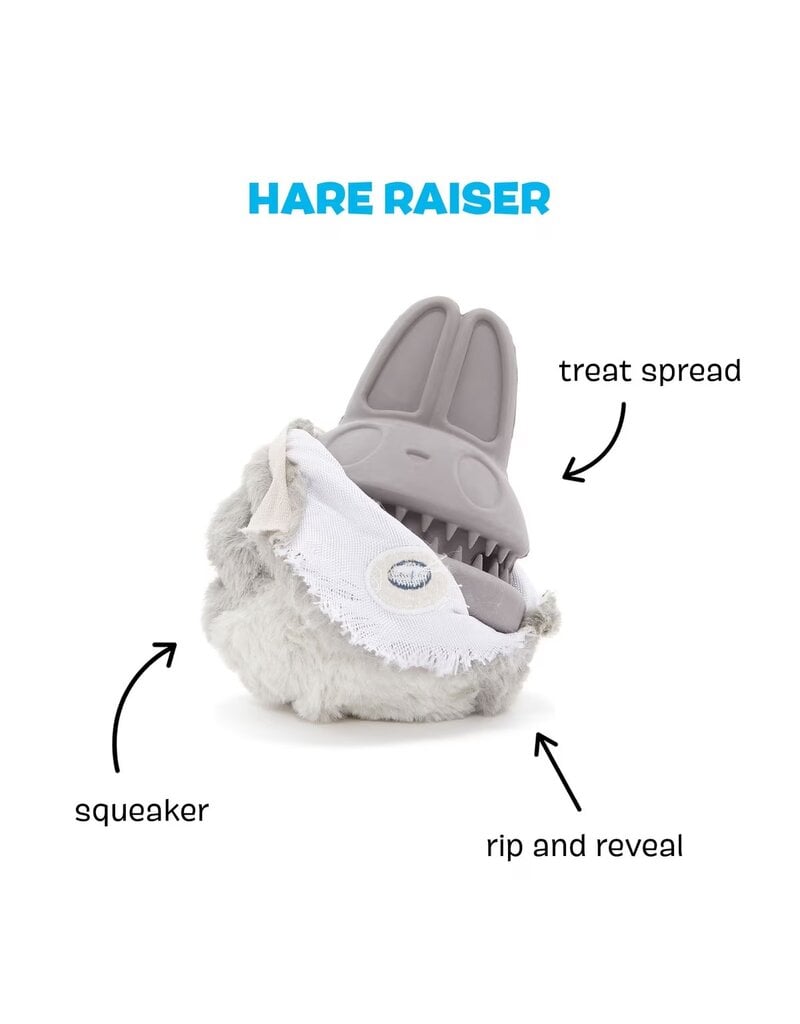 Bark Retail Bark Hare Raiser Dog Toy Md/Lg