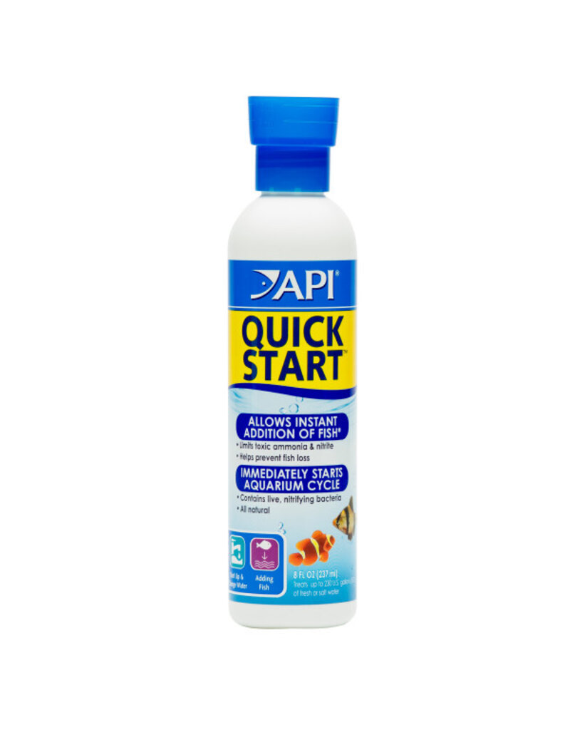 API API Quick Start