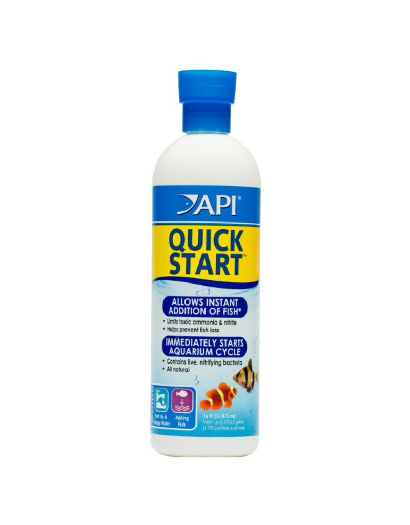 API API Quick Start