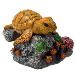 Blue Ribbon Pet Blue Ribbon Pet EE-365 Sea Turtle