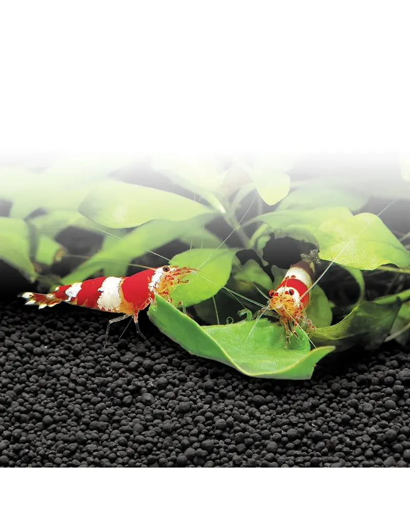 Fluval Fluval Plant And Shrimp Stratum