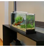 Fluval Fluval Spec V  Aquarium Kits