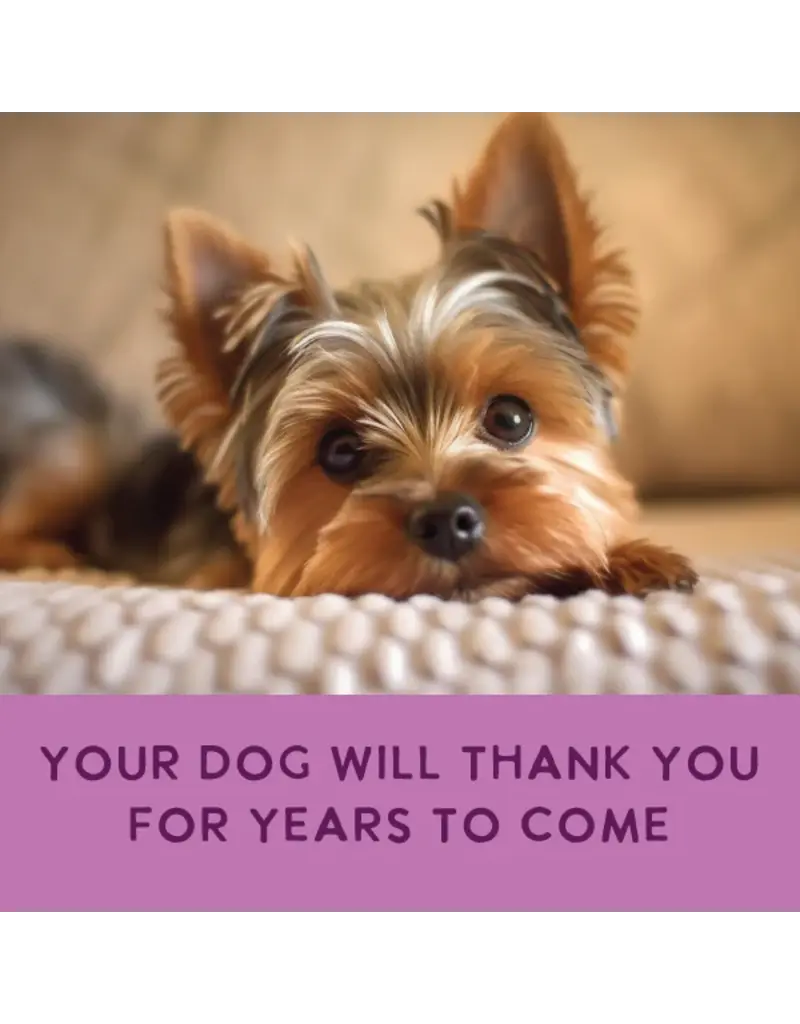 Health Extension Health Extension Gently Cooked Vegetarian Recipe Dog Food