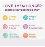 Health Extension Health Extension Gently Cooked Vegetarian Recipe Dog Food