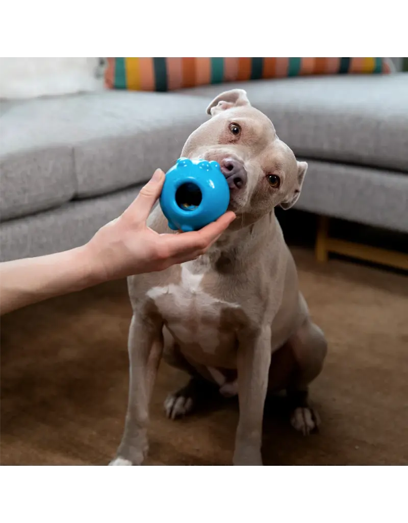 Jolly Pets Jolly Pets Jolly Dipper 4In