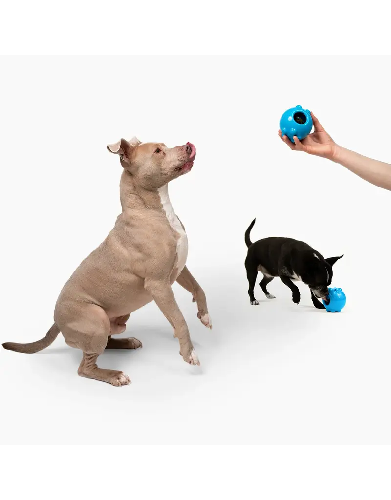 Jolly Pets Jolly Pets Jolly Dipper 4In