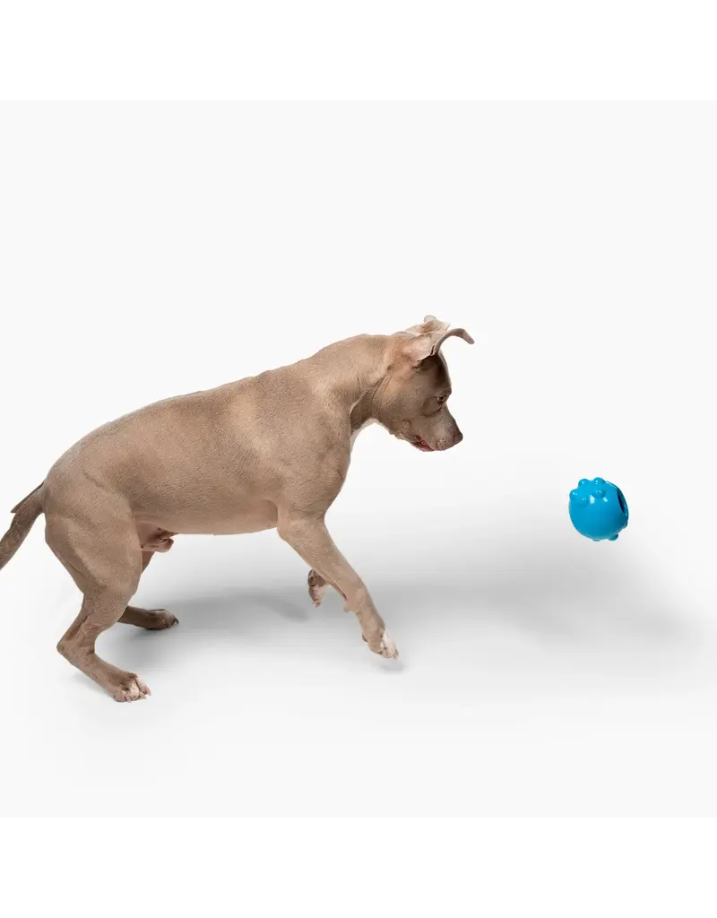 Jolly Pets Jolly Pets Jolly Dipper 4In