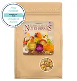 Lafeber Lafeber Company Pumpkin Spice Nutri-Berries for Small Birds 10 Oz