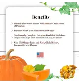 Lafeber Lafeber Company Pumpkin Spice Nutri-Berries for Small Birds 10 Oz