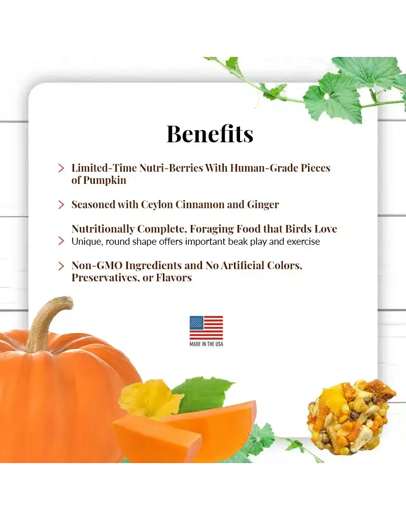 Lafeber Lafeber Company Pumpkin Spice Nutri-Berries for Small Birds 10 Oz