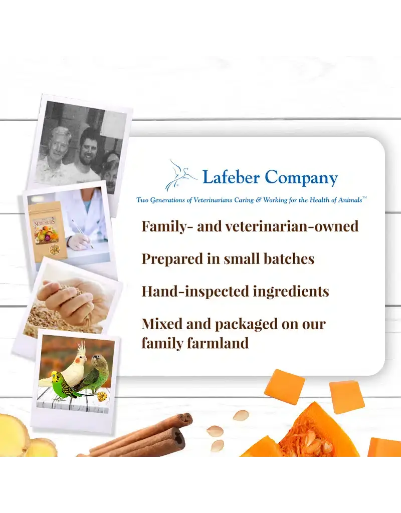 Lafeber Lafeber Company Pumpkin Spice Nutri-Berries for Small Birds 10 Oz