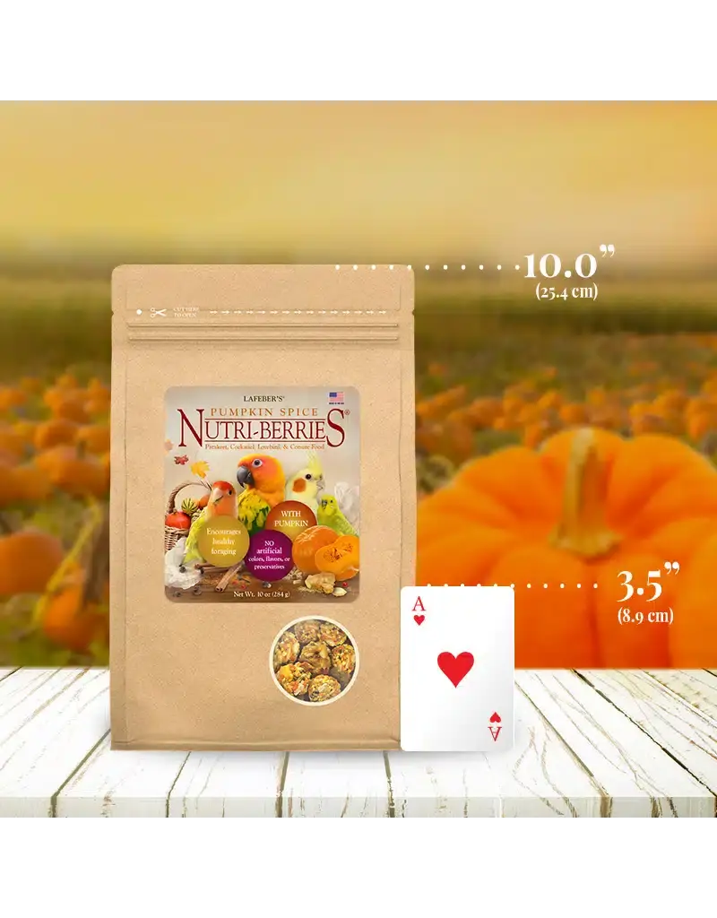 Lafeber Lafeber Company Pumpkin Spice Nutri-Berries for Small Birds 10 Oz