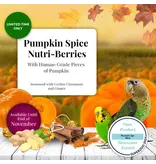 Lafeber Lafeber Company Pumpkin Spice Nutri-Berries for Small Birds 10 Oz