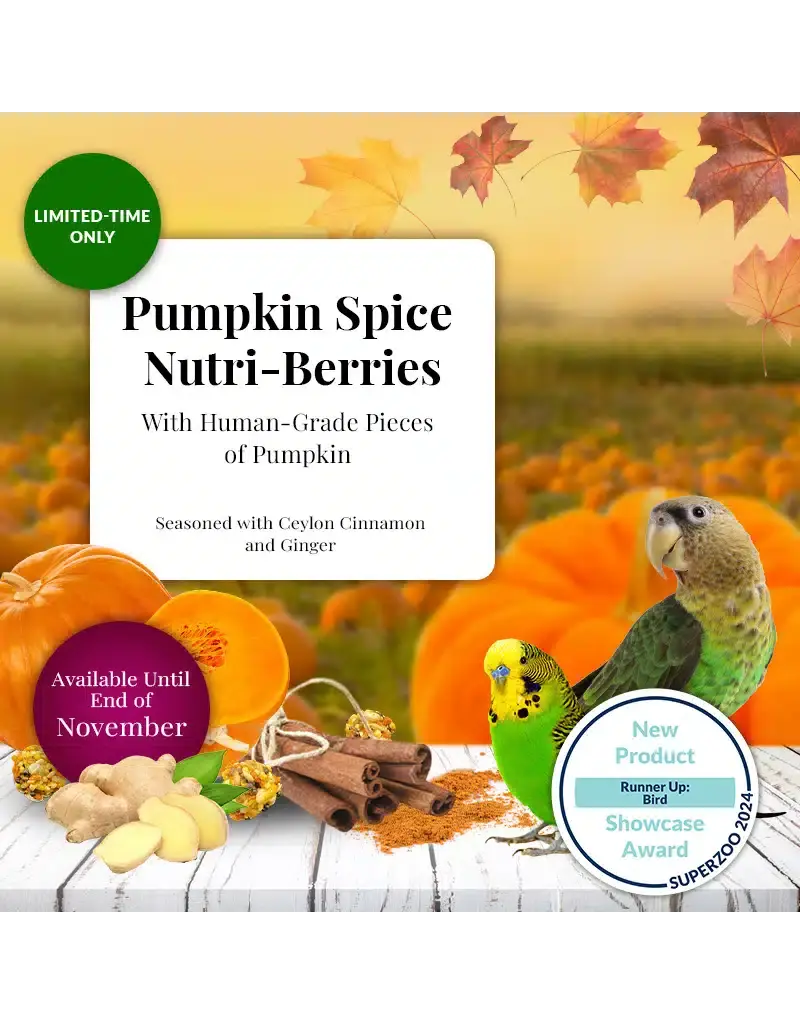 Lafeber Lafeber Company Pumpkin Spice Nutri-Berries for Small Birds 10 Oz