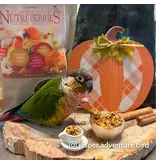 Lafeber Lafeber Company Pumpkin Spice Nutri-Berries for Small Birds 10 Oz